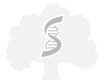 ФГАОУ ВО Первый МГМУ имени И.М. Сеченова Минздрава