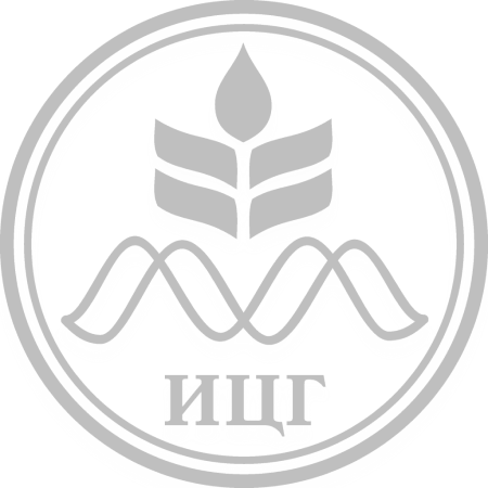 Институт цитологии и генетики СО РАН   
