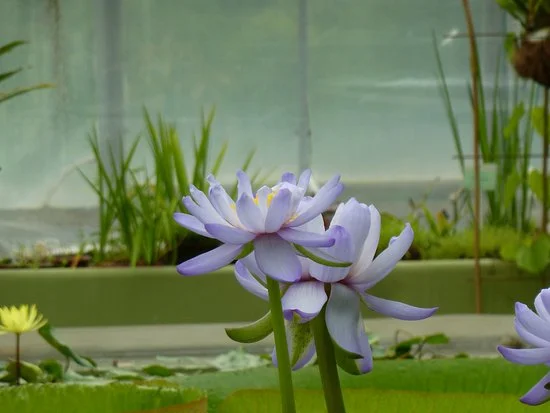 График работы в июне