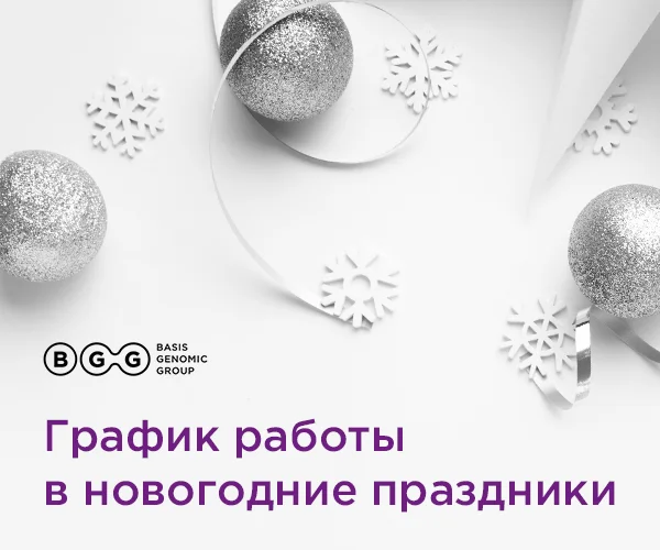 Как мы работаем в новогодние праздники